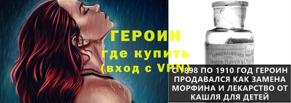 амф Ельня