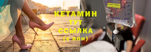 амф Ельня