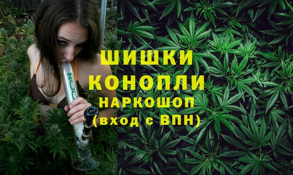 молекула духа Гусь-Хрустальный