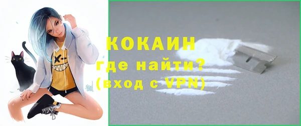 амф Ельня