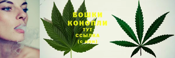 амф Ельня