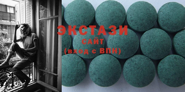 амф Ельня