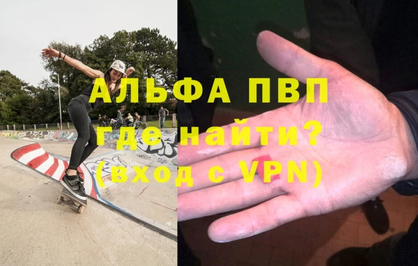 СК Гусев