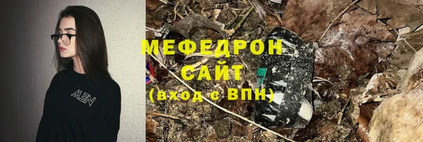 амф Ельня