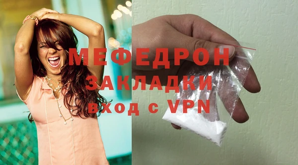 амф Ельня