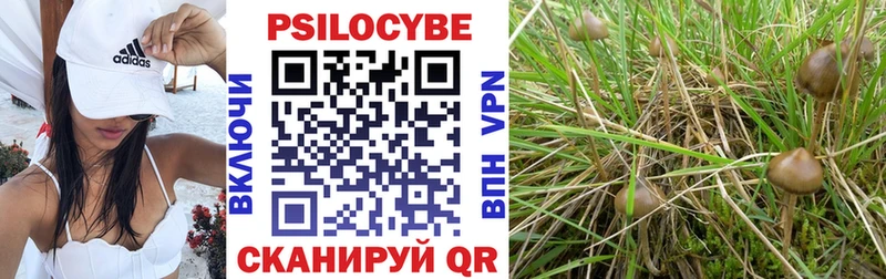 ссылка на мегу зеркало  Буй  Псилоцибиновые грибы ЛСД 